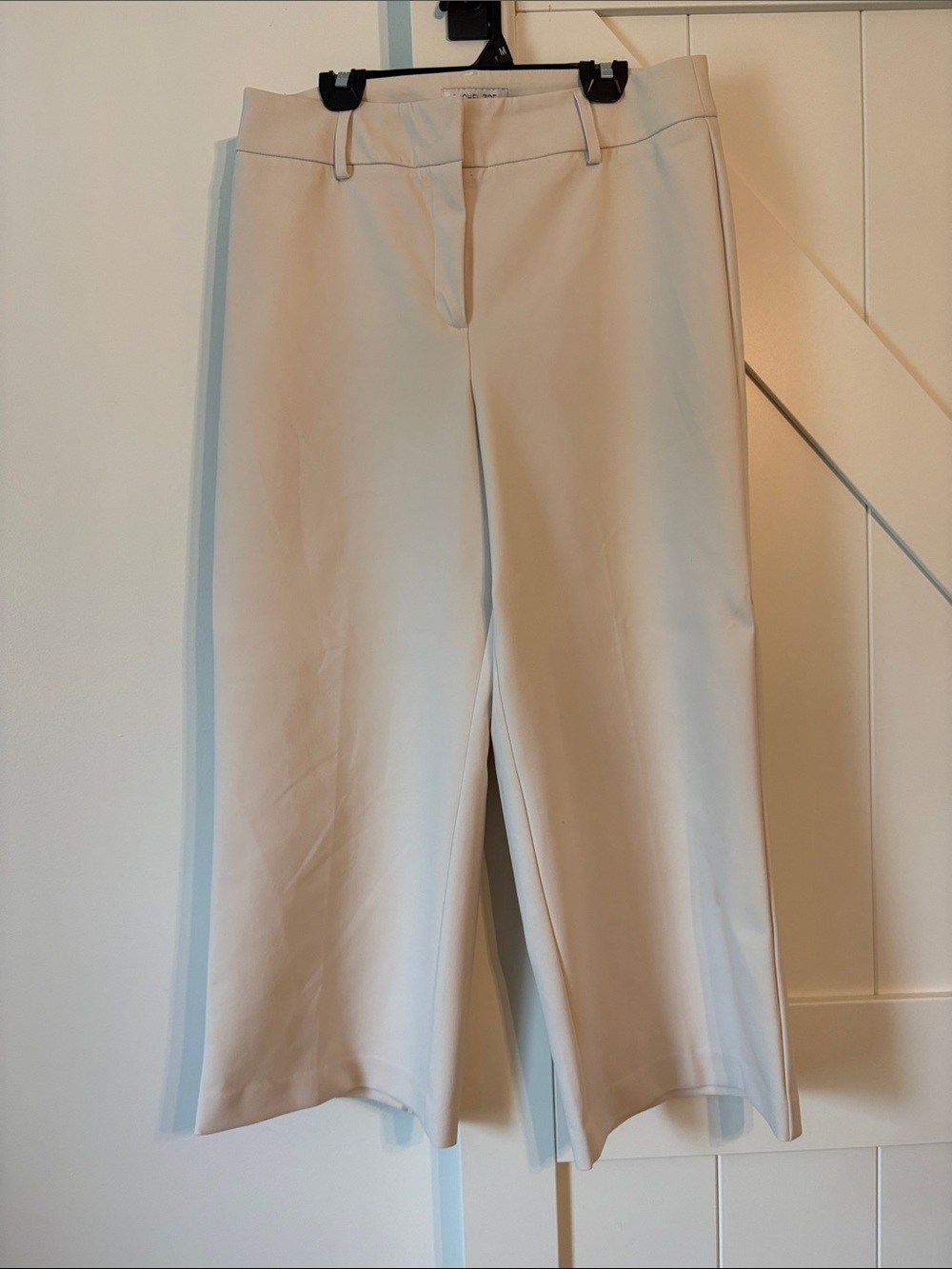 Rachel Zoe Wide-Leg Pants in Light Beige